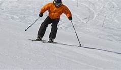 Image result for parallel skier images
